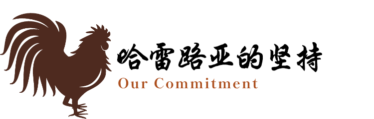 哈雷路亚的坚持